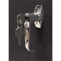 Storage Cabinet, Steel, 4 Shelves, 66" H x 30" W x 15" D, Black Pathway Supply LP