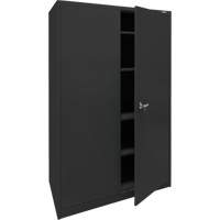 Storage Cabinet, Steel, 4 Shelves, 78" H x 48" W x 24" D, Black Pathway Supply LP