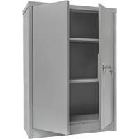 Counter-High Storage Cabinet, Steel, 2 Shelves, 42" H x 30" W x 15" D, Grey Pathway Supply LP