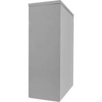 Counter-High Storage Cabinet, Steel, 2 Shelves, 42" H x 30" W x 15" D, Grey Pathway Supply LP