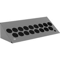 Aerosol Bin Topper Pathway Supply LP