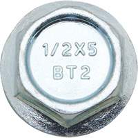 Wedge Bolts, Carbon Steel, 1/2" x 2" Pathway Supply LP