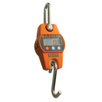 Crane Scales