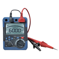 Insulation Resistance Tester with ISO Certificate, Digital Pathway Supply LP