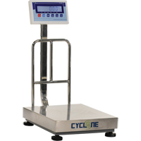 Cyclone 150 Bench and Platform Scale, 300 lbs. / 150 kg Capacity, 15-3/4" L x 19-7/10" W Pathway Supply LP