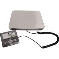 Digital Receiving Scale, 220 lbs. Cap., 1 lbs. Graduations Pathway Supply LP
