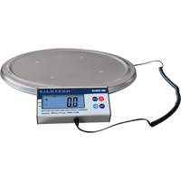 Balance pour tonneau, Capacit&eacute; de 200 kg Pathway Supply LP
