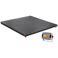 Defender 3000 Floor Scale, 5000 lbs. Capacity, 4' L x 4' W Pathway Supply LP