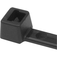 Attaches de c&acirc;ble PA66, Longueur 5-1/2", R&eacute;sistance &agrave; la traction 18 lb, Noir Pathway Supply LP