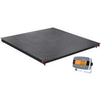 Balance de plancher DEFENDER 3000, Capacit&eacute; de 2500 lb, 48" la x 48" lo Pathway Supply LP