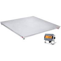 Balance de plancher DEFENDER 3000, Capacit&eacute; de 2500 lb, 48" la x 48" lo Pathway Supply LP