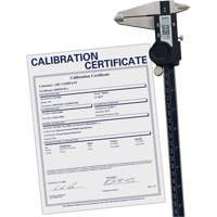 Digital Caliper with Traceable Certificate, 0.0005" (0.01 mm) Resolution, 0" - 12" (0 mm - 300 mm) Range Pathway Supply LP