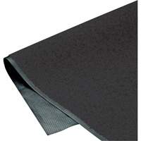 Tapis ColorStar, Essuie-pieds, 4' x 6' x 3/8", Charbon Pathway Supply LP