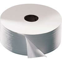Advanced Toilet Paper, Jumbo Roll, 2 Ply, 751' Length, White Pathway Supply LP