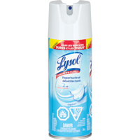 Disinfectant Spray, 350 g, Aerosol Can Pathway Supply LP