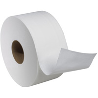 Advanced Soft Mini Toilet Paper, Jumbo Roll, 2 Ply, 751' Length, White Pathway Supply LP