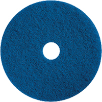 Floor Maintenance Pads, 15", Cleaning/Scrubbing, Blue Pathway Supply LP