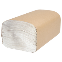Everest Pro Singlefold Hand Towels, 1 Ply, 10-1/4" L x 9-1/4" W, 250 /Pack Pathway Supply LP