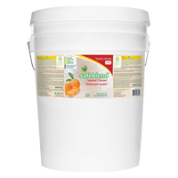 Neutral Cleaner, 20 L, Pail Pathway Supply LP