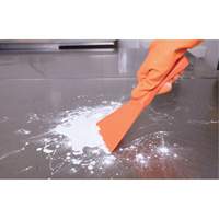 Large Hand Scraper, Pink, 4" W x 10" L Pathway Supply LP