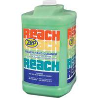 Reach Extra Heavy-Duty Hand Cleaner, Pumice, 3.78 L, Jug, Scented Pathway Supply LP
