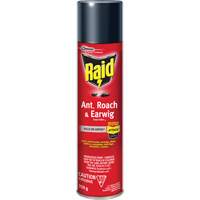 Raid&reg; Ant, Roach & Earwig Insect Killer, 350 g, Solvent Base Pathway Supply LP