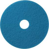 Tampons de nettoyage pour planchers, 12", Nettoyage/&agrave; r&eacute;curer, Bleu Pathway Supply LP
