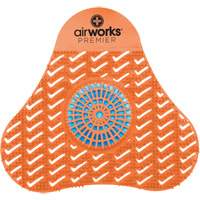 AirWorks&reg; Premier Urinal Screens with Block Pathway Supply LP