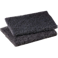Tampon de polissage pour plaque de cuisson Scotch-Brite, 4" lo x 5" la Pathway Supply LP