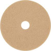Trizact Diamond TZ Abrasive Strip, 20", Burnishing, Beige Pathway Supply LP