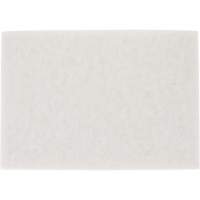 TopLine Speed Floor Pad, 14" x 20", Buffing/Cleaning/Polish, White Pathway Supply LP