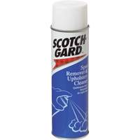 Carpet Spot Remover and Upholstery Cleaner, 17 oz., Aerosol Can Pathway Supply LP