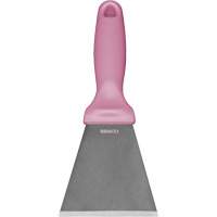Grand racloir en acier inoxydable, Rose, 3" la x 9" lo Pathway Supply LP