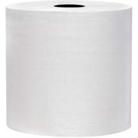 Snow Soft TAD Premium Hand Towel Rolls, 2 Ply, Standard, 700' L Pathway Supply LP