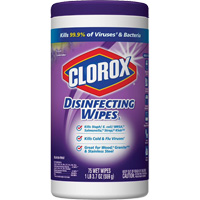 Disinfecting Wipes, 75 Count Pathway Supply LP