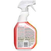 Disinfecting Bio Stain & Odour Remover, 946 ml, Trigger Bottle Pathway Supply LP