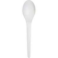 Plantware Renewable and Compostable Spoon Pathway Supply LP