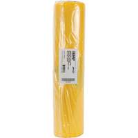 Doublures pour d&eacute;chets dangereux, Amiante, 40" lo x 26" la, 3 mils Pathway Supply LP