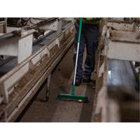 T&ecirc;te de balai-brosse, Crins Fin/Ferme, 16-1/2", Polyester/Polypropyl&egrave;ne, Vert Pathway Supply LP