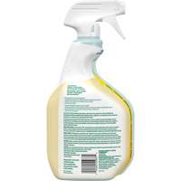 Nettoyant tout usage CloroxPro Clorox EcoClean, 946 ml, Bouteille &agrave; g&acirc;chette Pathway Supply LP