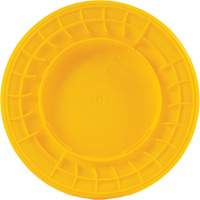 Bac &agrave; d&eacute;chets, Poly&eacute;thyl&egrave;ne, 32 gal. US Pathway Supply LP