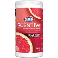 Disinfecting Wipes, 75 Count Pathway Supply LP