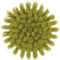 Brosse ronde HyDrive pour perceuse, Soies Tr&egrave;s ferme, Longueur de 3-1/10", Jaune Pathway Supply LP