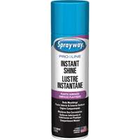 Pro Line Instant Shine for Plastic Surfaces, 11 oz., Aerosol Can Pathway Supply LP