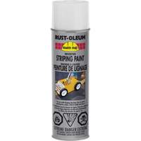 Inverted Marking Paint Spray, White, Aerosol Can Pathway Supply LP