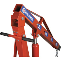 2-Ton Folding Shop Crane, 4000 lbs. (2 tons) Capacity Pathway Supply LP