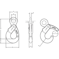 Alloy Steel Eye-Type Self-Locking Hooks Pathway Supply LP