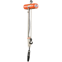 ShopStar Electric Hoists, 10' Lift, 250 lbs. (0.125 tons) Capacity, 16 FPM Pathway Supply LP
