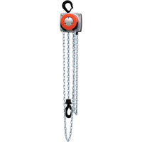 Hurricane 360° Chain Hoist, 10' Lift, 1000 lbs. (0.5 tons) Capacity, Steel Chain Pathway Supply LP