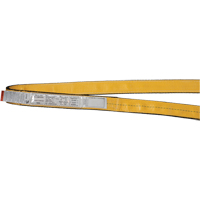 Polyester Slings, Single Ply, Endless, Type 5, 2" W x 3' L, 6200 lbs. Vertical Cap. Pathway Supply LP